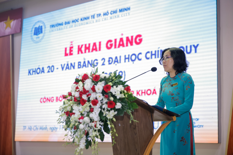 cá cược thể thao hul city